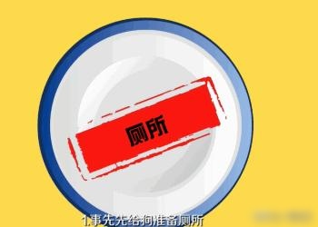 如何教狗狗定点大小便（如何教狗狗定点大小便图片）