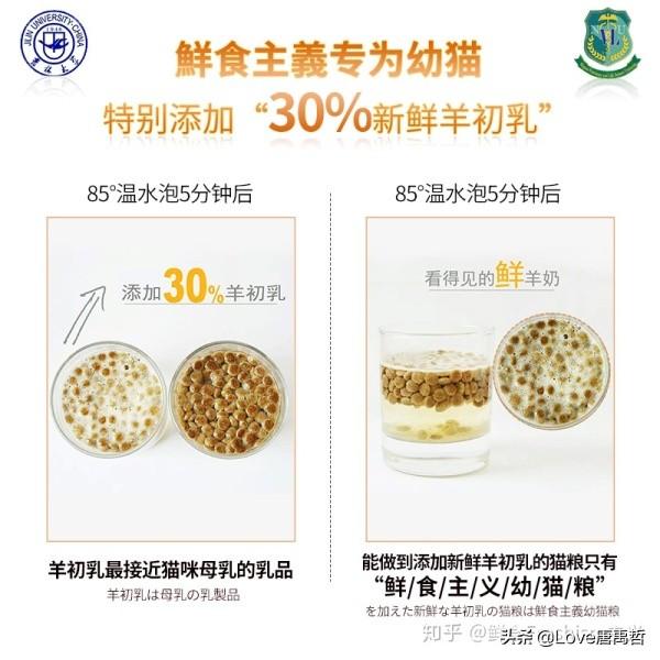 没有猫粮喂猫吃什么（没有猫粮喂猫吃什么好）