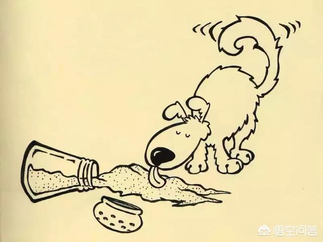 为什么狗不能吃盐（为什么狗不能吃盐中医）
