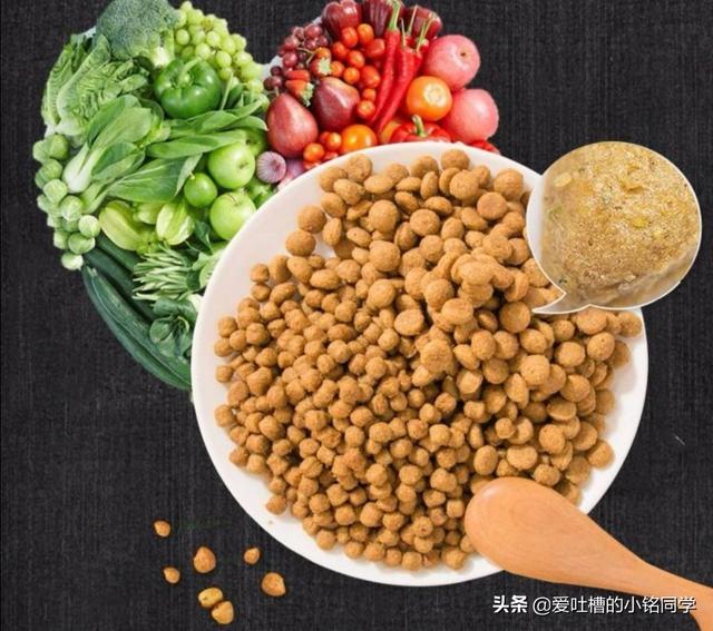 小狗多大可以吃干狗粮（小型犬吃什么狗粮好）